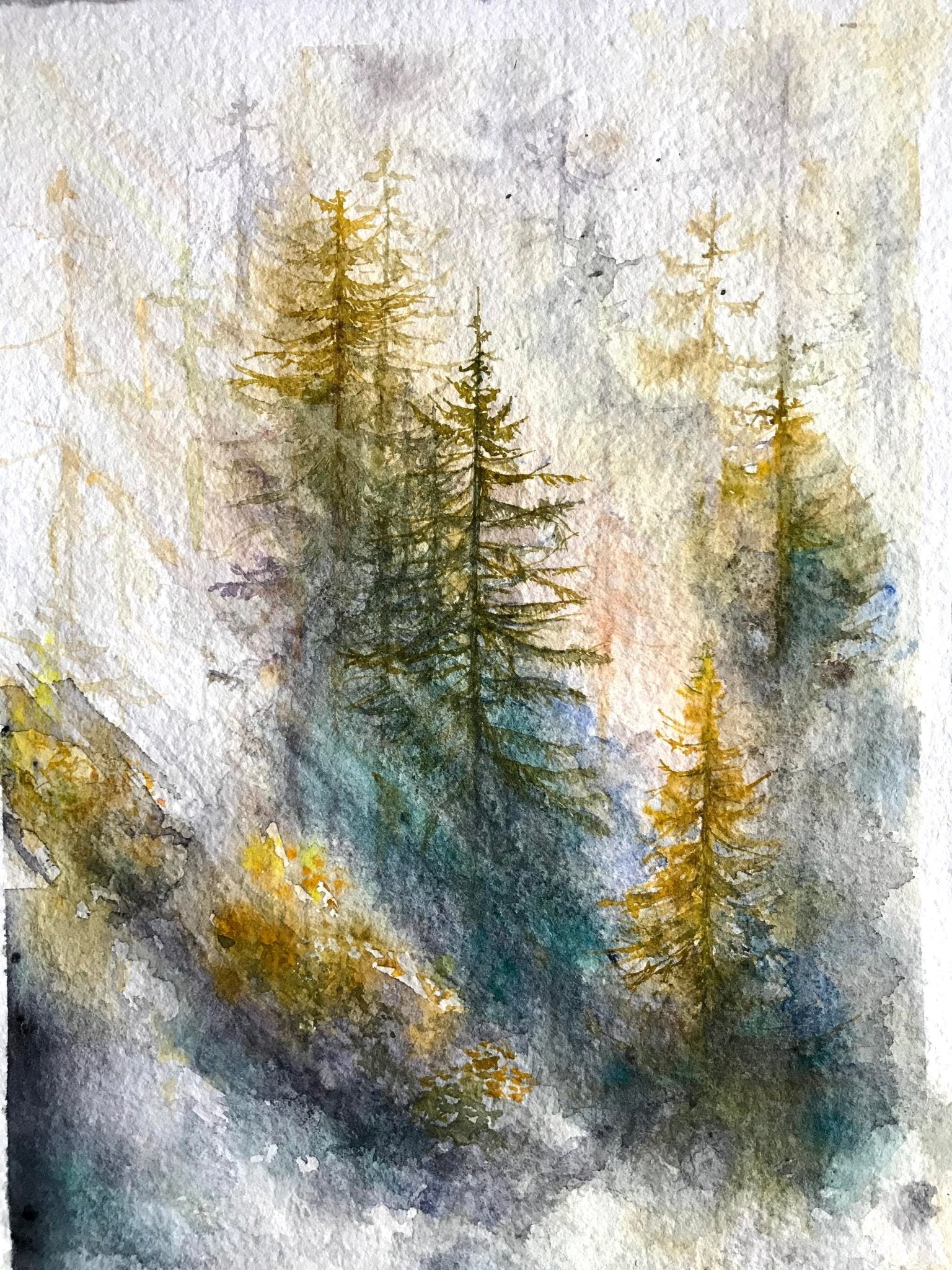 Morning Mist - aleksandrahomesin