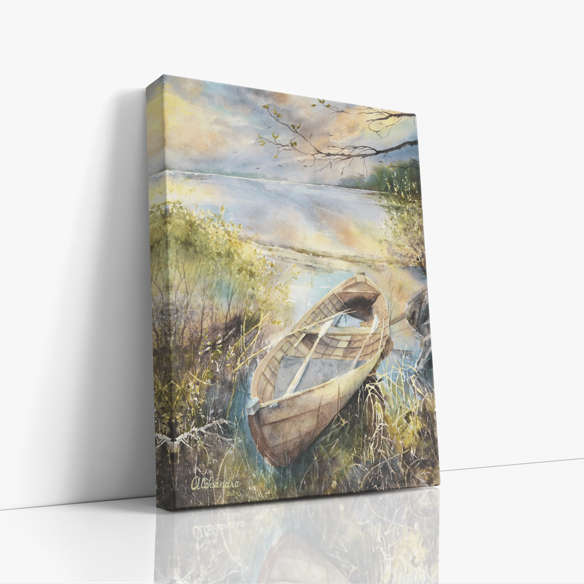 Safe Harbour - aleksandrahomesin