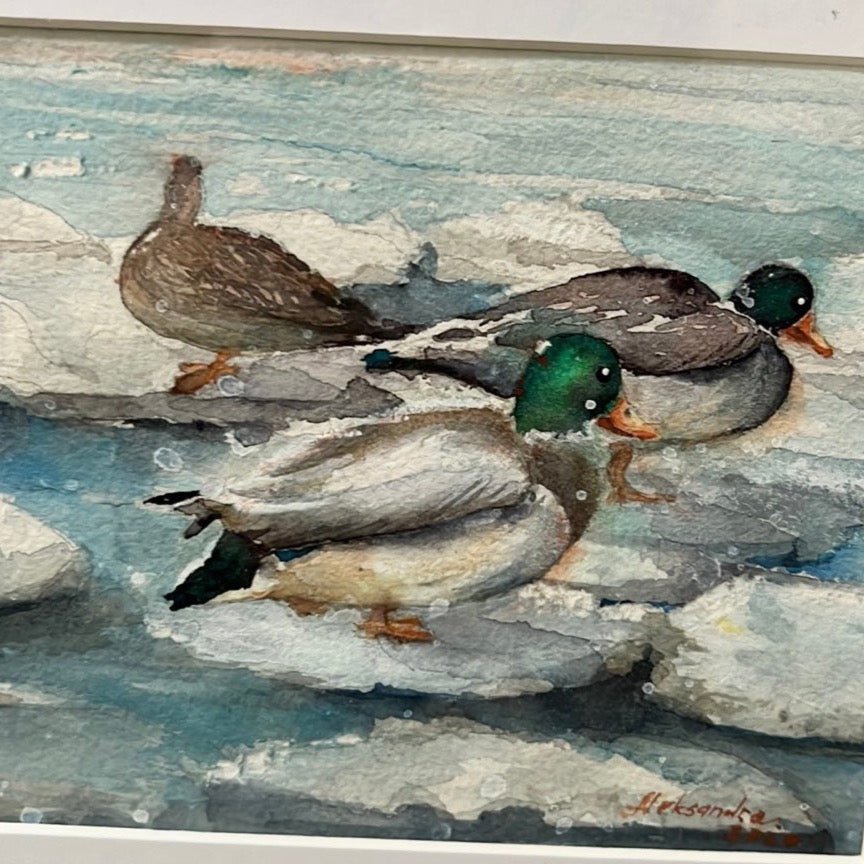 No Ducks in a Row - aleksandrahomesin