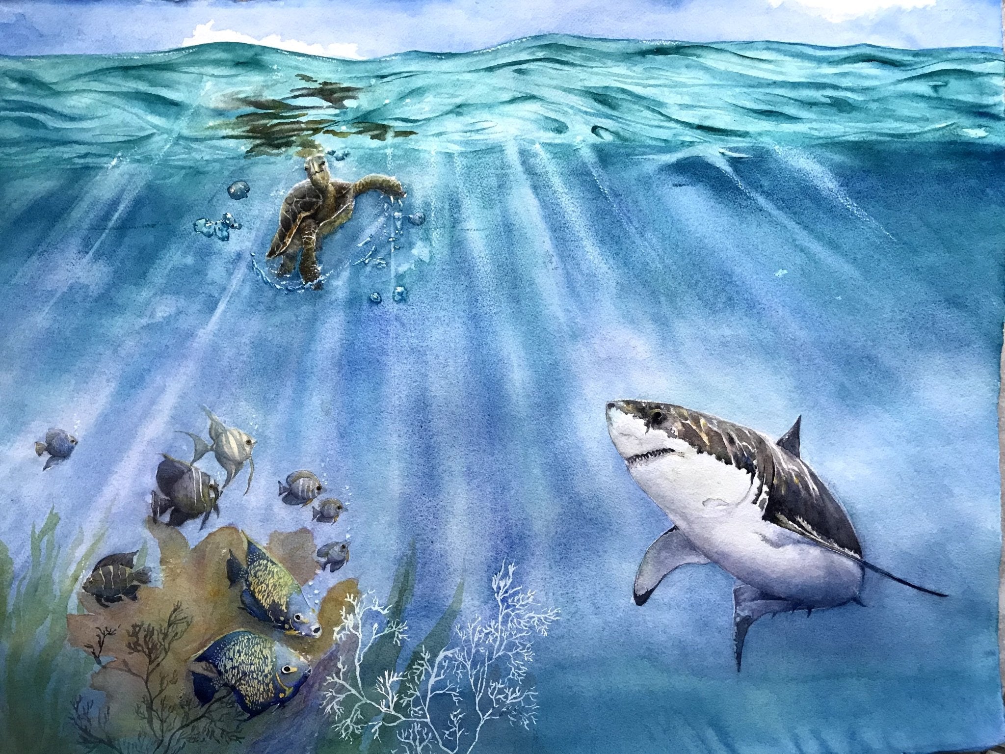 Under the Sea (Commission) - aleksandrahomesin